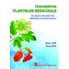 Cunoașterea plantelor medicinale. Valoarea terapeutică tradițională și modernă - Maria Pop, Oana Pop